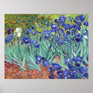 Affiche Vincent van Gogh Irises