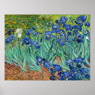 Affiche Vincent Van Gogh - Irises
