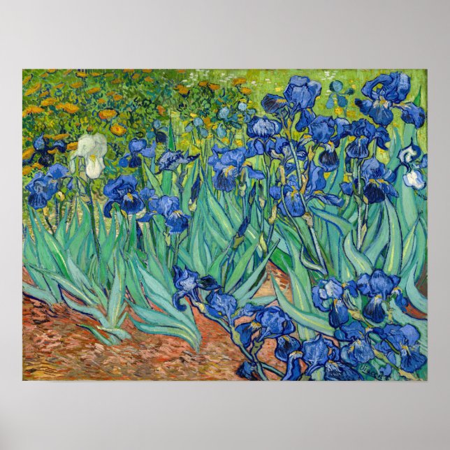 Affiche Vincent Van Gogh - Irises (Devant)