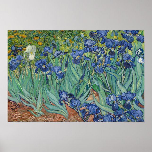 Affiche Vincent van Gogh - Irises (Devant)