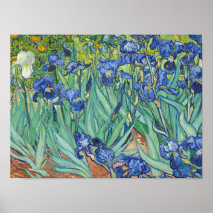 Affiche Vincent Van Gogh - Irises 1889