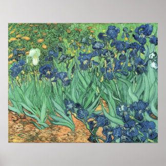 Affiche Vincent van Gogh | Irises, 1889