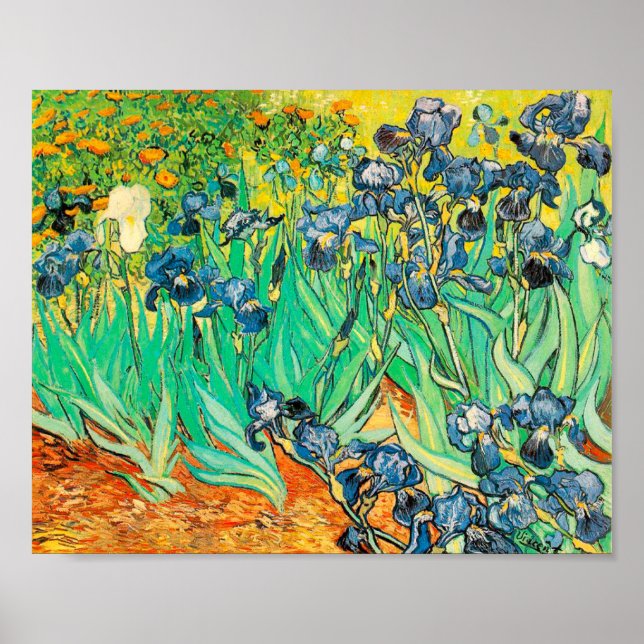 Affiche Vincent van Gogh Irises 1889 Fleurs Bleues (Devant)