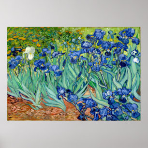 Affiche Vincent van Gogh - Irises - Art célèbre