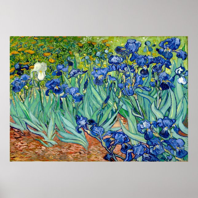 Affiche Vincent van Gogh - Irises - Art célèbre (Devant)