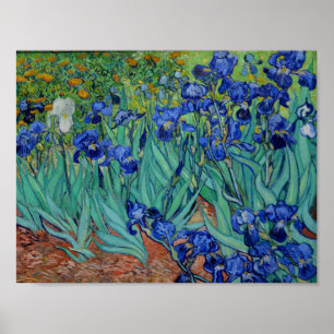Affiche Vincent Van Gogh Irises Vibrant Flower Art
