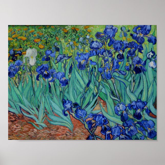 Affiche Vincent Van Gogh Irises Vibrant Flower Art (Devant)