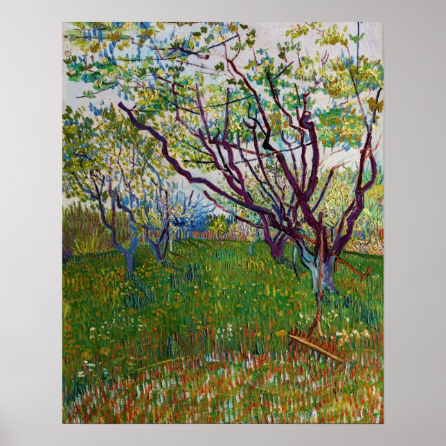 Affiche Vincent van Gogh - Le verger en fleurs (Devant)