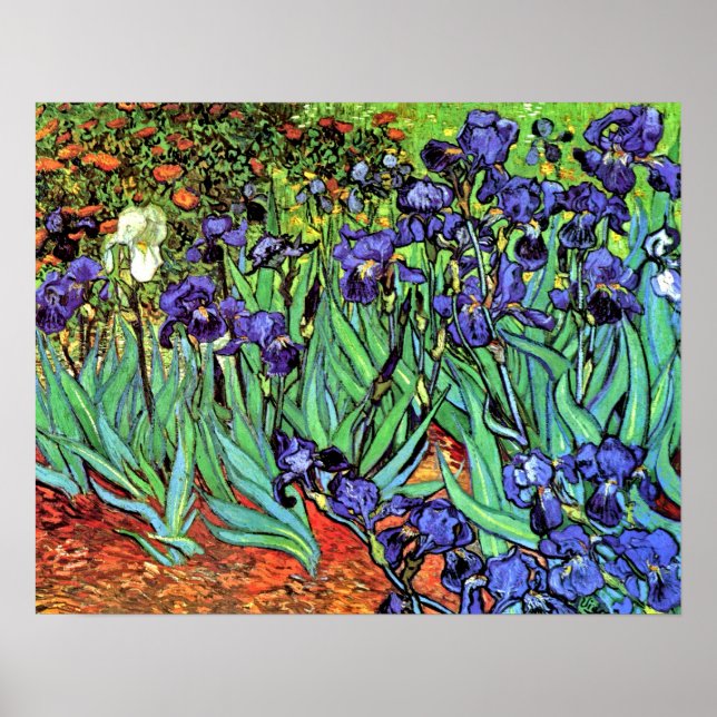 Affiche Vincent Van Gogh - Les Iris - Flower Lover Fine Ar (Devant)