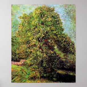 Affiche Vincent Van Gogh - Marronnier en Fleurs