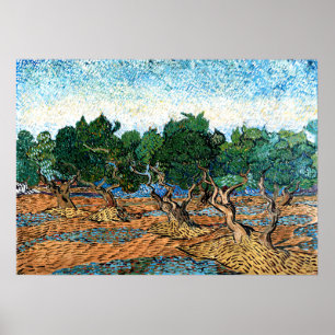 Affiche Vincent van Gogh - Olive Grove