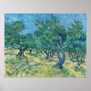Affiche Vincent van Gogh - Olive Grove