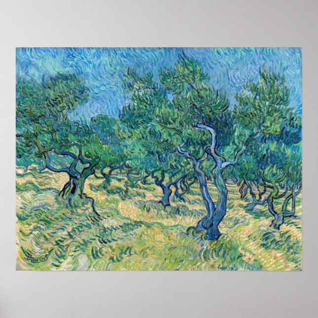 Affiche Vincent van Gogh - Olive Grove (Devant)