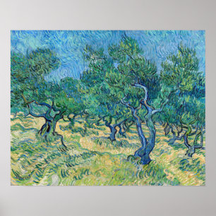 Affiche Vincent van Gogh - Olive Grove