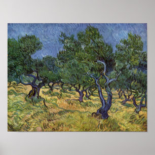 Affiche Vincent van Gogh - Olive Grove
