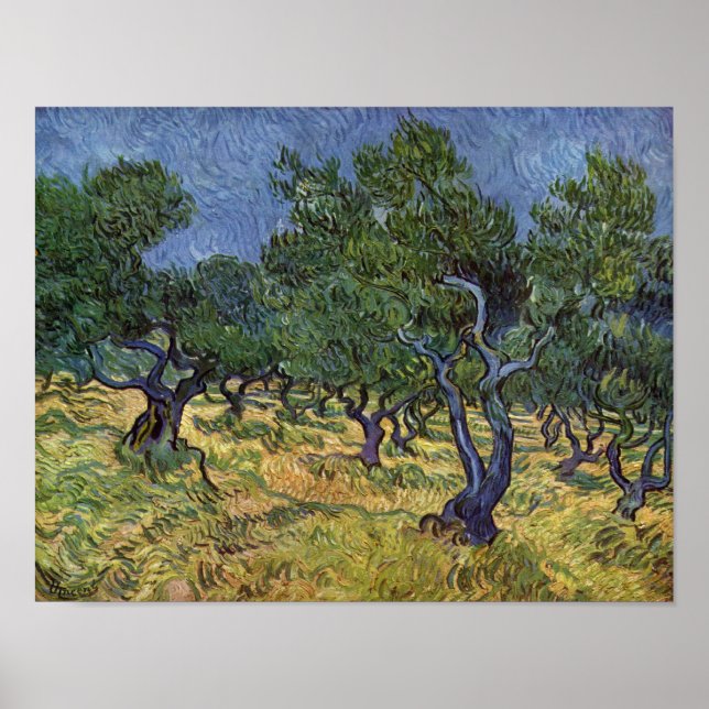 Affiche Vincent van Gogh - Olive Grove (Devant)
