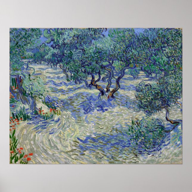 Affiche Vincent van Gogh Olive Orchard (Devant)