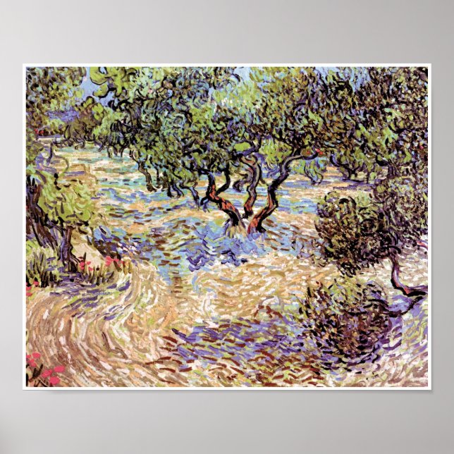 Affiche Vincent Van Gogh - Olive Orchard Art (Devant)