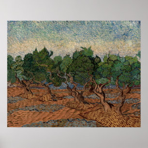 Affiche Vincent van Gogh - Oliveraie