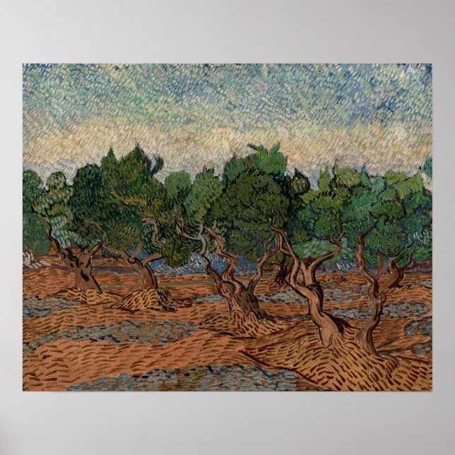 Affiche Vincent van Gogh - Oliveraie (Devant)