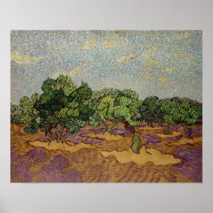 Affiche Vincent van Gogh - Oliviers