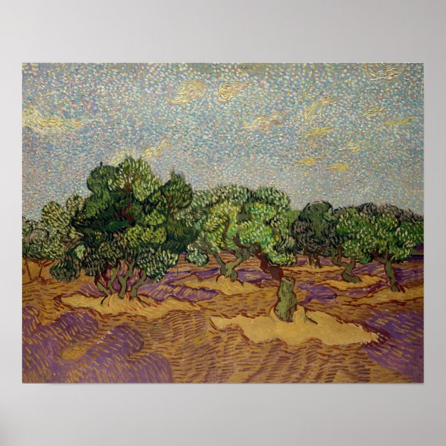 Affiche Vincent van Gogh - Oliviers (Devant)