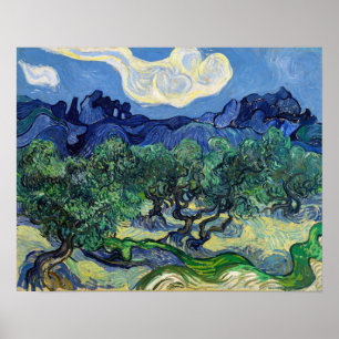 Affiche Vincent van Gogh - Oliviers avec les Alpilles