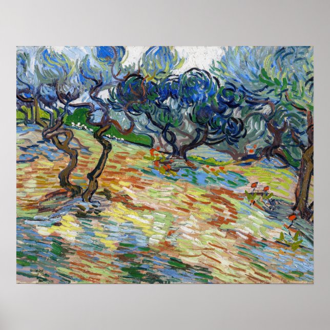 Affiche Vincent van Gogh - Oliviers : Ciel bleu brillant (Devant)