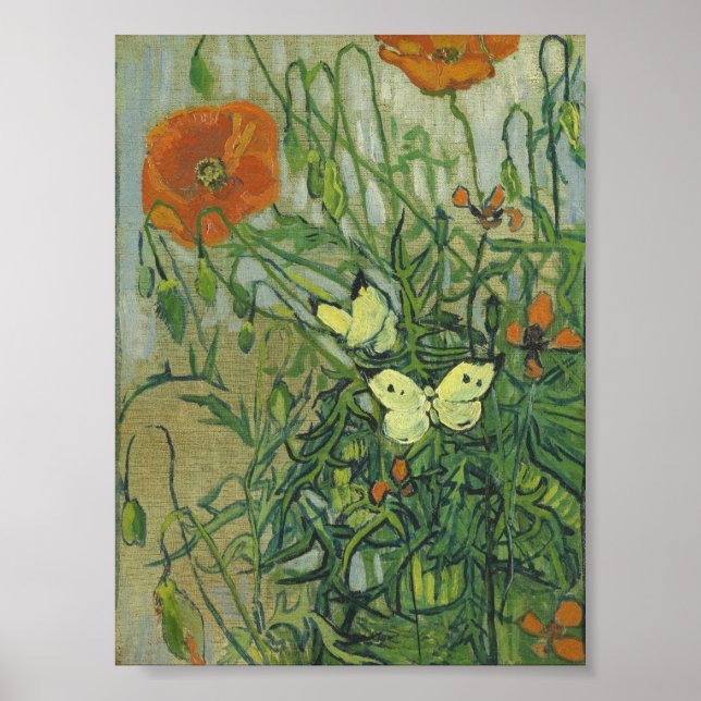 Affiche Vincent Van Gogh - Papillons et pavots (Devant)