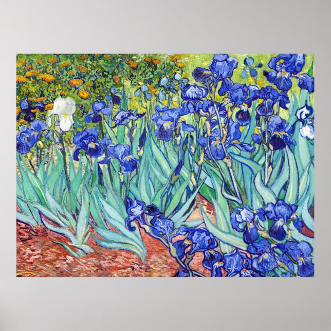 Affiche Vincent Van Gogh peignant les Iris (Devant)