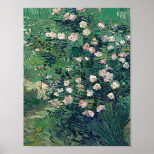 Affiche Vincent Van Gogh - Rosebush à Blossom