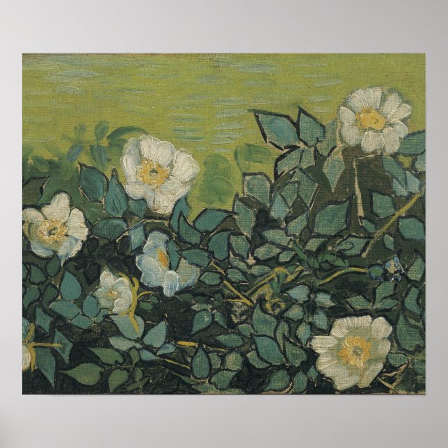 Affiche Vincent Van Gogh - roses sauvages Avril, Mai (Devant)