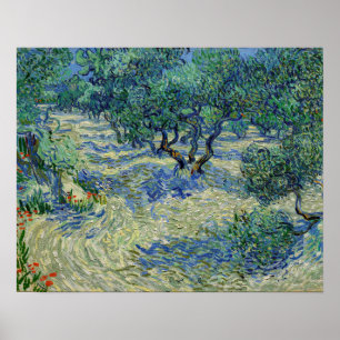Affiche Vincent van Gogh - Verger d'oliviers