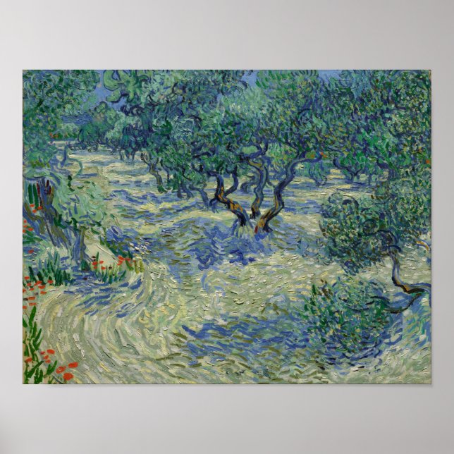 Affiche Vincent van Gogh - Verger d'oliviers (Devant)