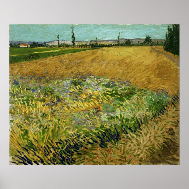 Affiche Vincent Van Gogh Vintage Wheatfield (Devant)