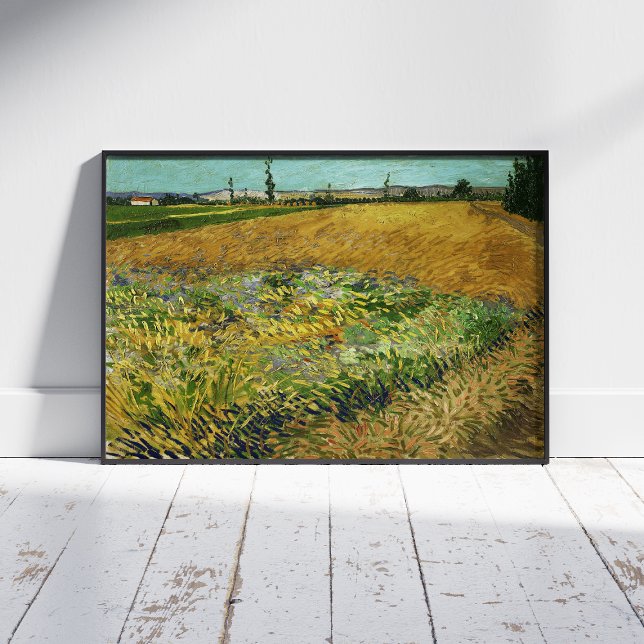 Affiche Vincent Van Gogh, Wheatfield, Korenveld (Créateur téléchargé)