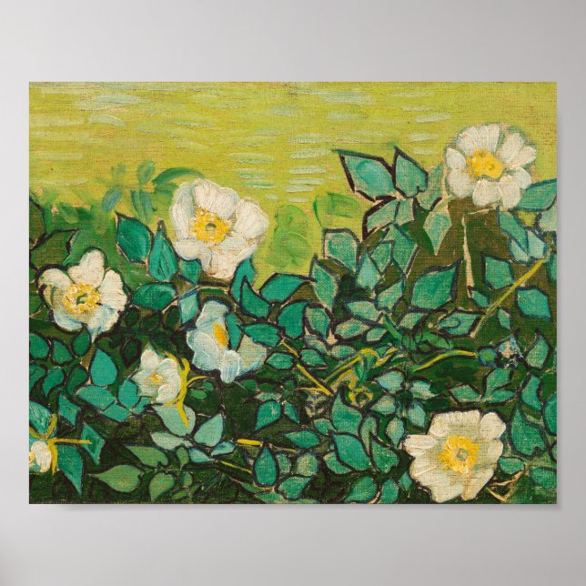Affiche Vincent Van Gogh Wild Art Rose (Devant)