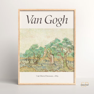 Affiche Vincent van Gogh Women Picking Olives Art Imprimer