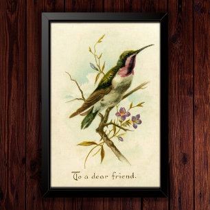 Affiche Vintage 1908 Mexicaine Star Hummingbird Friendship