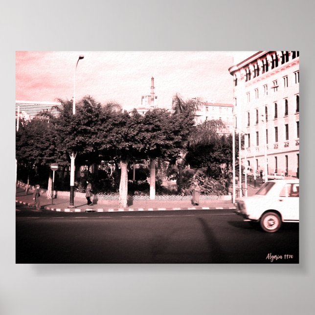 Affiche Vintage Algeria Algiers cars building (Devant)