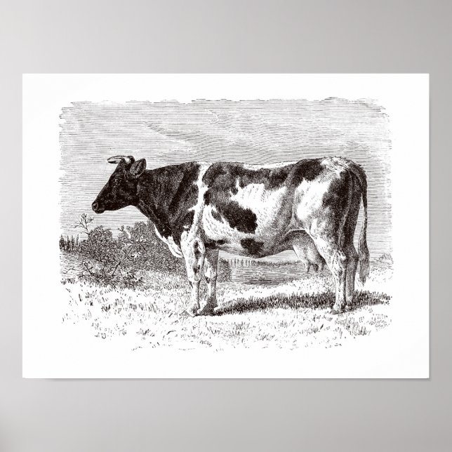 Affiche Vintage années 1800 Grand hollandais Vache rétro V (Devant)