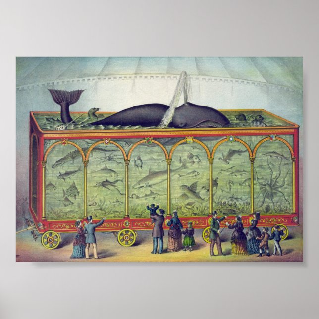Affiche Vintage Aquarium Ad (Devant)