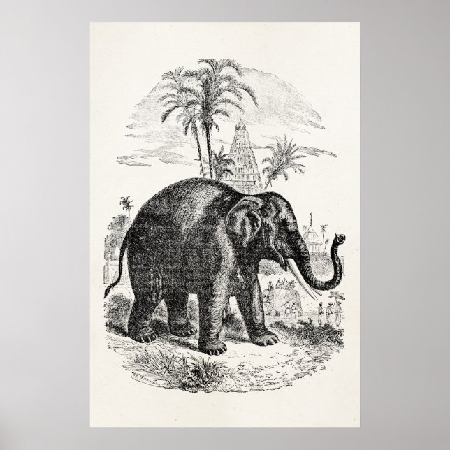 Affiche Vintage Asian Elephant Personalized Elephants (Devant)