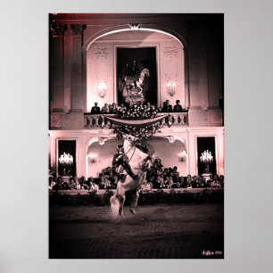 Affiche Vintage Autriche Vienne Courbette Espagnole