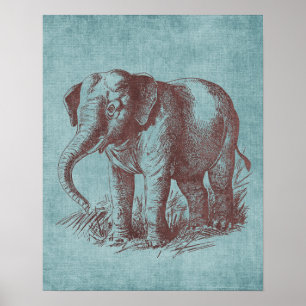 Affiche Vintage Baby Elephant