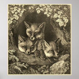 Affiche Vintage baby fox woodland