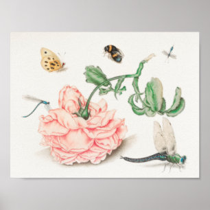 Affiche Vintage Bee Illustration