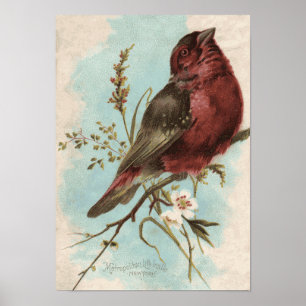 Affiche Vintage Bird Print