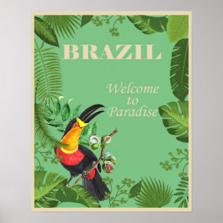 Affiche Vintage Brésil Toucan Oiseau du Paradis Voyage