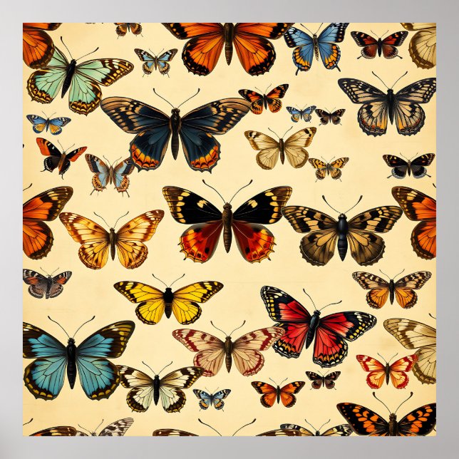 Affiche Vintage Butterfly Collection Pattern (Devant)